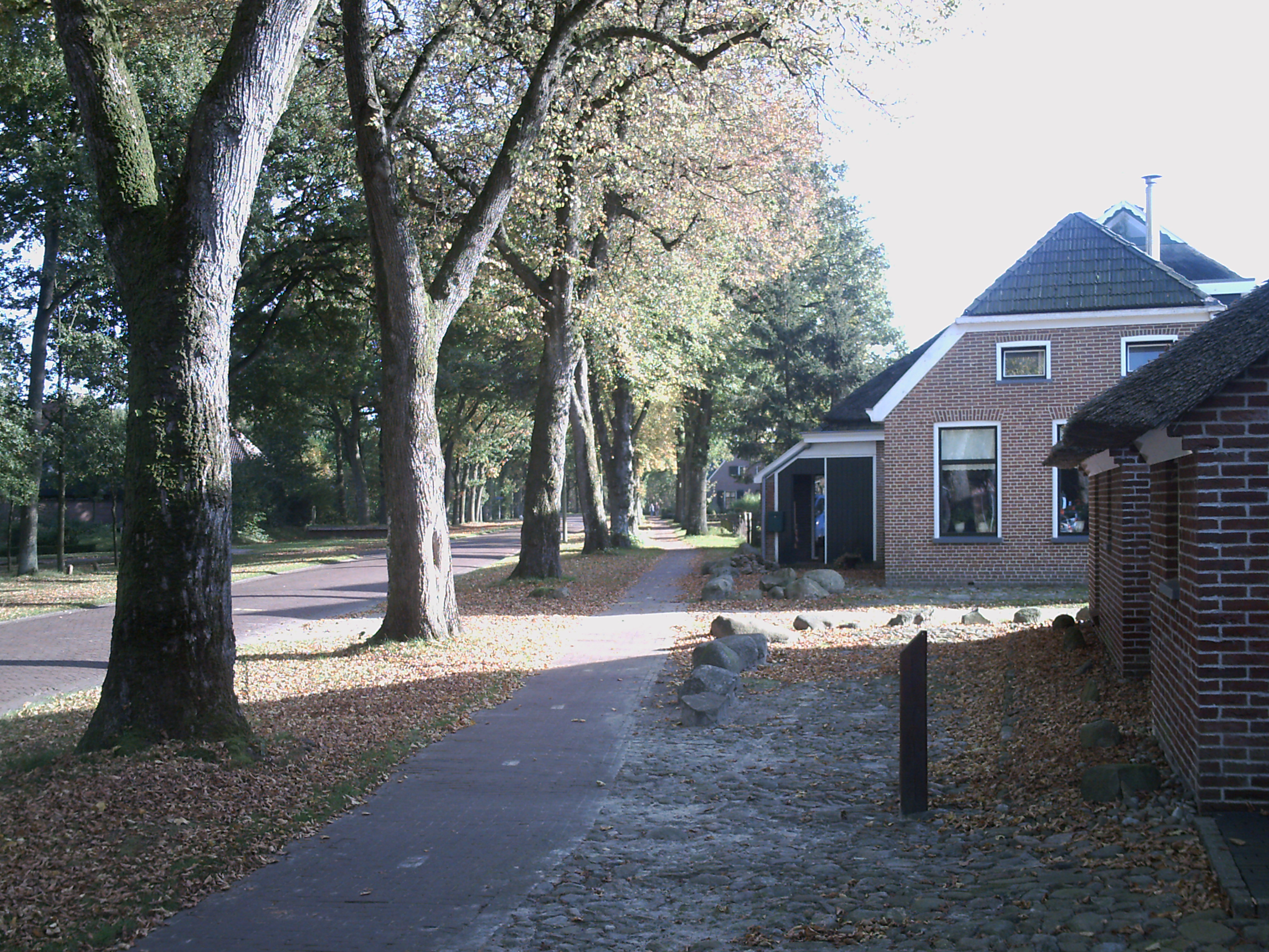 traditionele boerderij